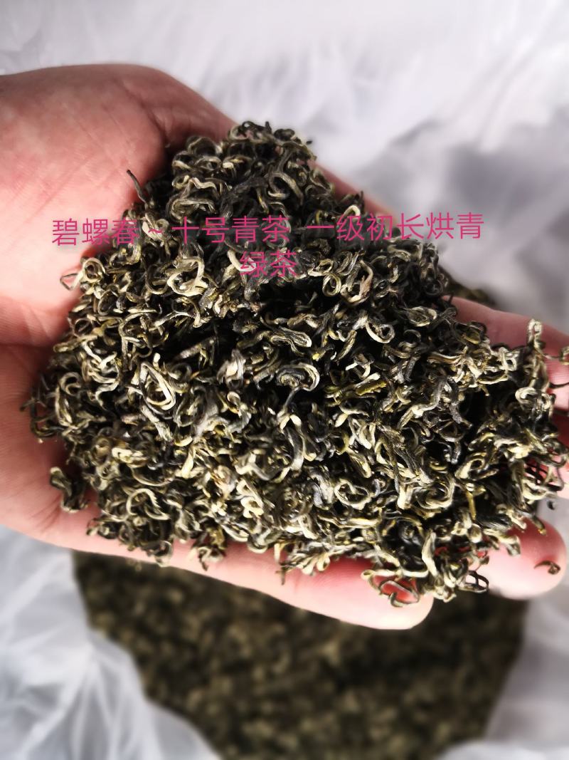 碧螺春～十号青茶一级初长烘青绿茶