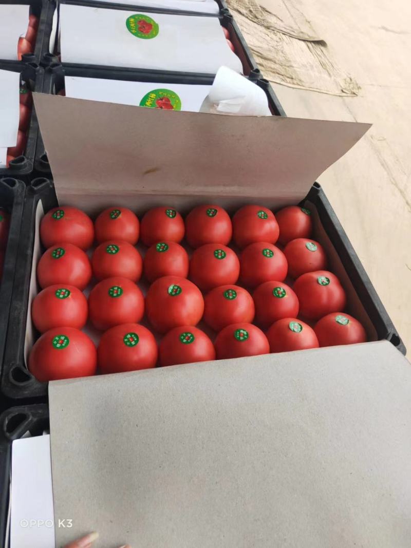 硬粉西红柿弧三以上硬粉精品。走超市，市场。