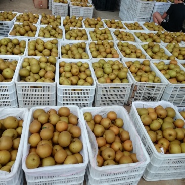 量大从优，全国发货。保质保量。