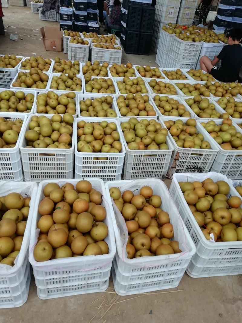 量大从优，全国发货。保质保量。