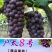 汉中【大棚,漏天户太八号夏黑葡萄】代发全国果园直供【现货
