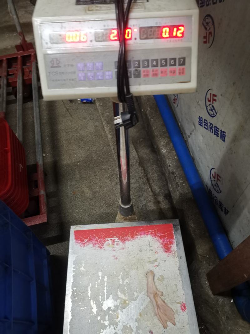 中鸭掌一斤9~10个一手货源质量保证有丰富的供应电商经验