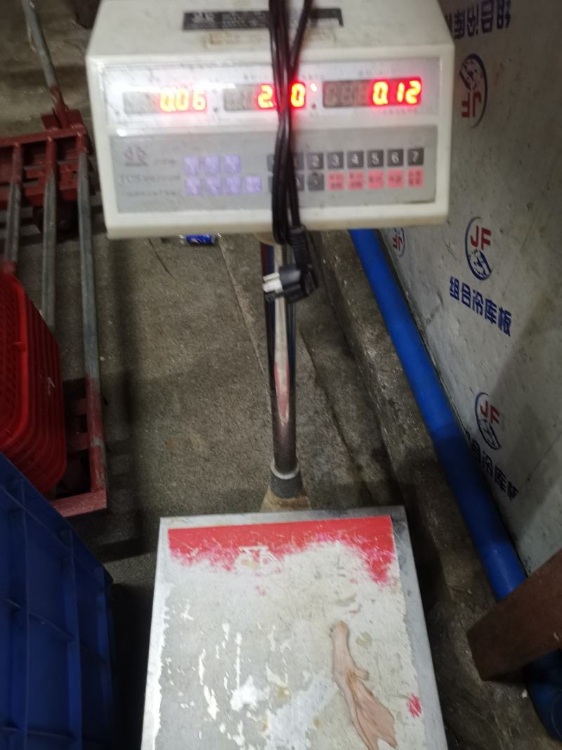 中鸭掌一斤9~10个一手货源质量保证有丰富的供应电商经验