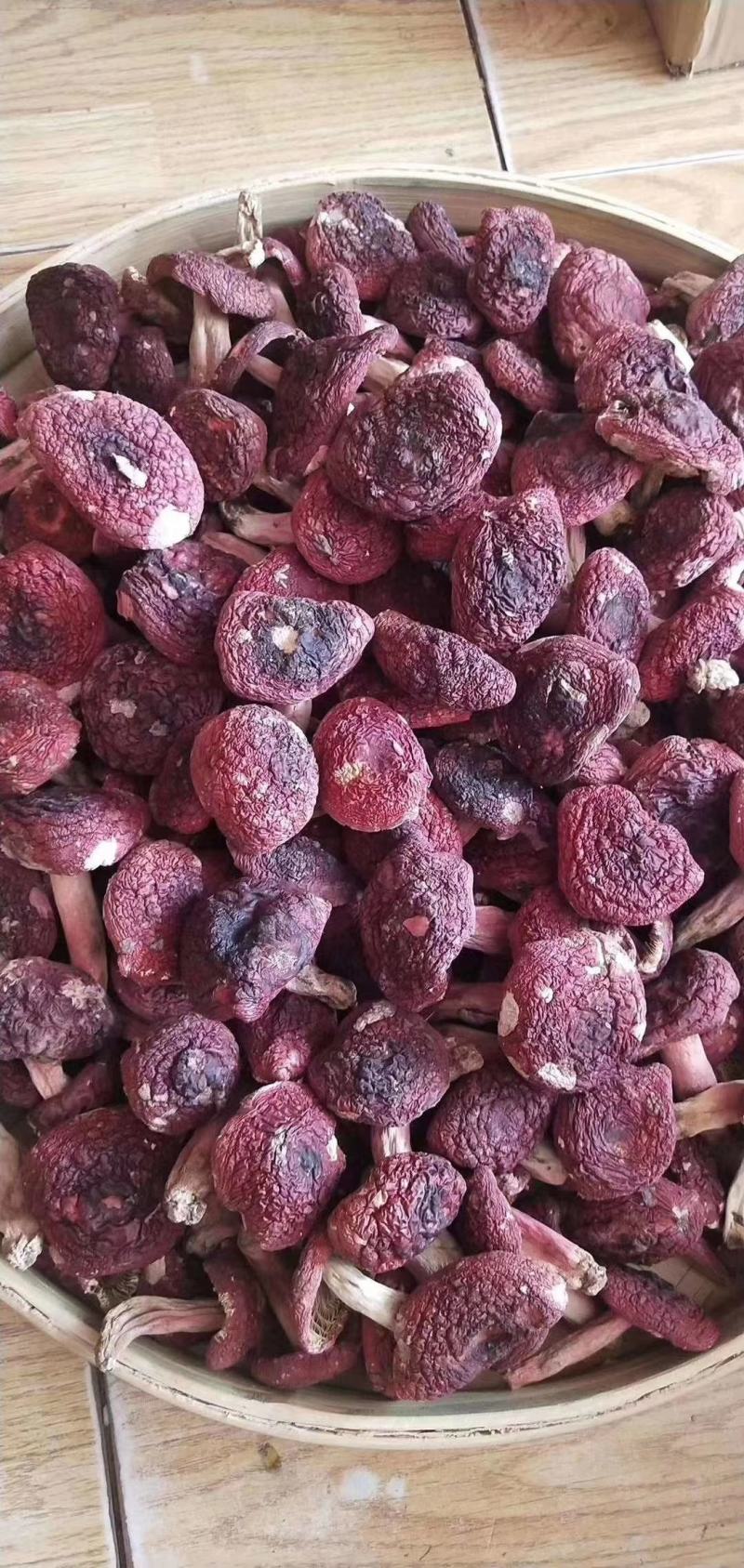 一斤批发红菇原产地野生红菇干货红蘑菇红椎菌包邮