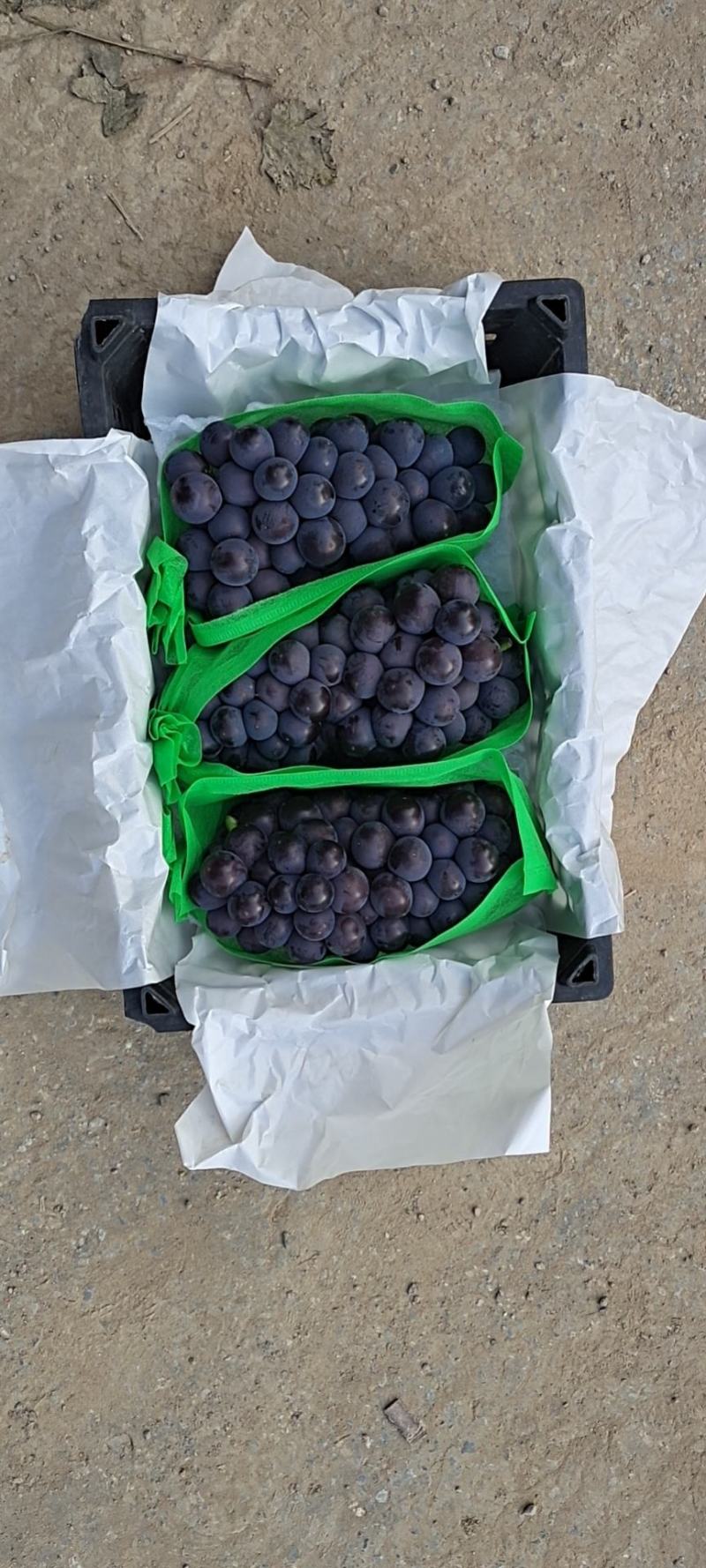 夏黑葡萄，巨峰乒乓球