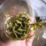 碧螺春～十号青茶一级初长烘青绿茶