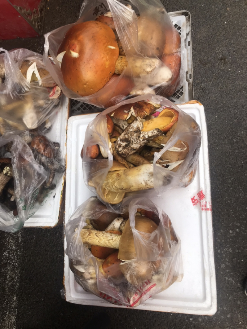 松茸、大脚菇等野生菌类