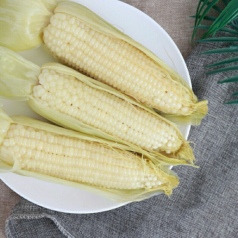 新鲜玉米白糯玉米棒甜粘粗粮糯玉米