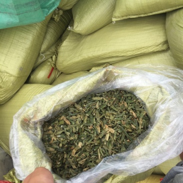 湖南卜豆角青豆角农家豆角干豆角批发