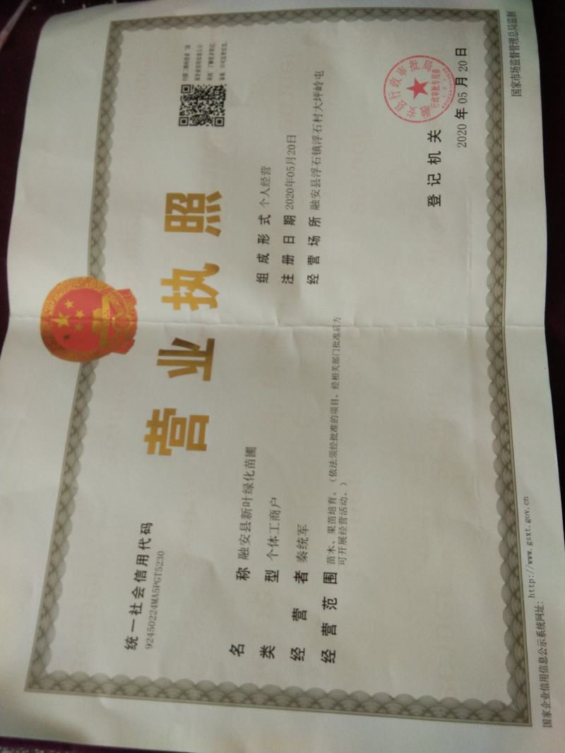 融安县《香杉牌》杉树种子