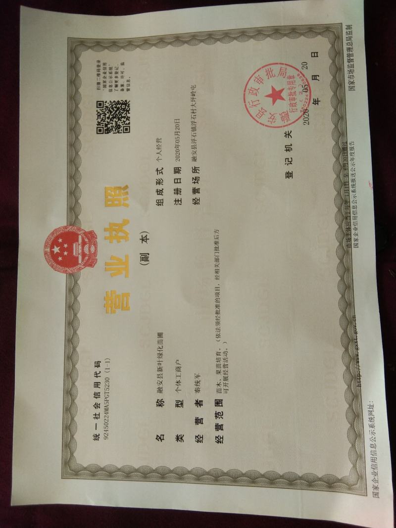 融安县《香杉牌》杉树种子