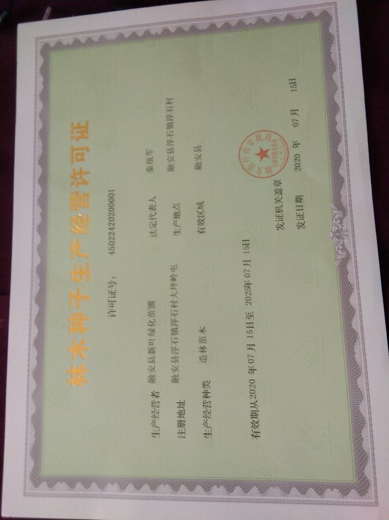 融安县《香杉牌》杉树种子