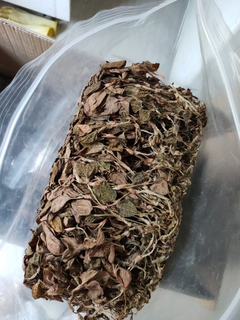 【闽之宝】福建大圆叶金线莲干品种植金线莲整株鲜品干品