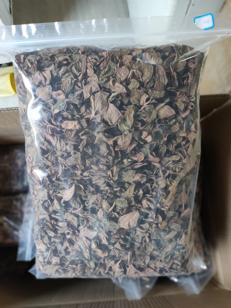 【闽之宝】福建大圆叶金线莲干品种植金线莲整株鲜品干品