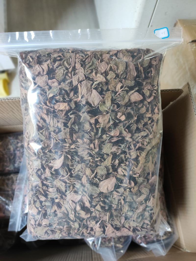 【闽之宝】福建大圆叶金线莲干品种植金线莲整株鲜品干品