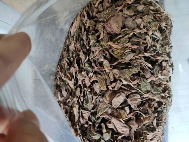 【闽之宝】福建大圆叶金线莲干品种植金线莲整株鲜品干品