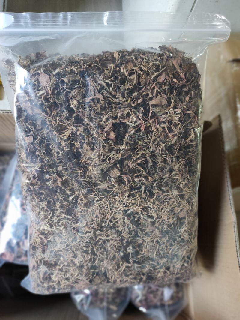 【闽之宝】福建大圆叶金线莲干品种植金线莲整株鲜品干品