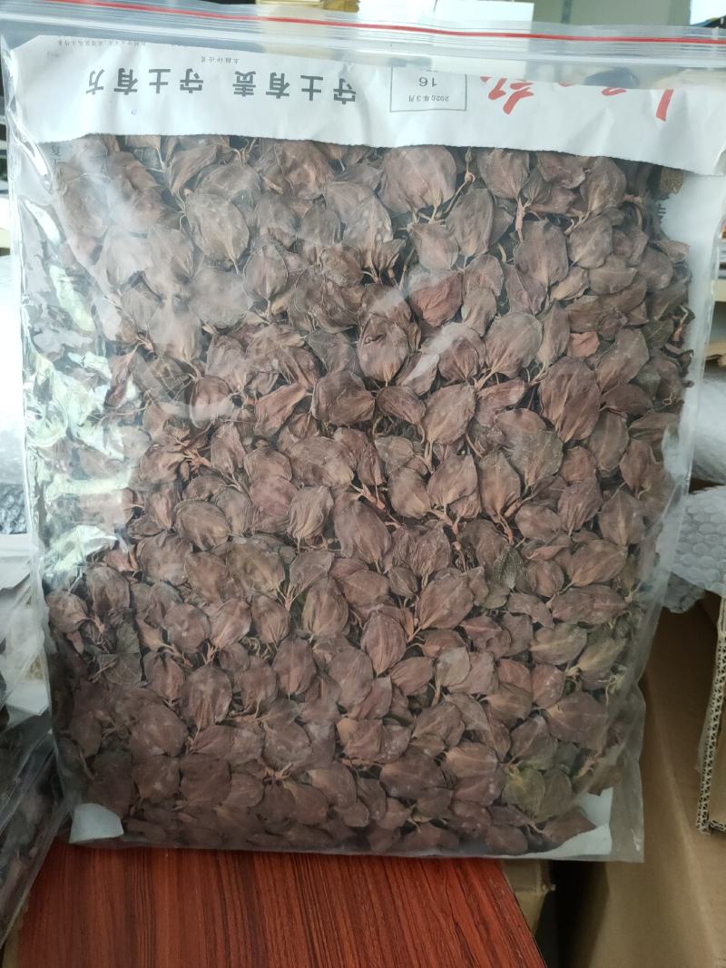 【闽之宝】排版金线莲干品林下仿野生金线莲干品