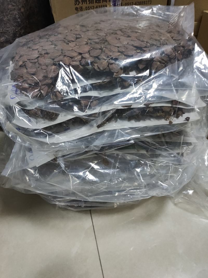 【闽之宝】排版金线莲干品林下仿野生金线莲干品