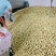 2025年云南冬枣，糖度24，皮薄肉厚多汁，皮色漂亮光滑
