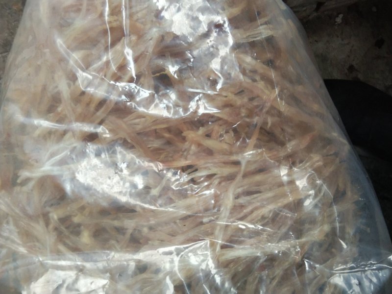 蹄筋猪蹄筋油炸猪蹄筋