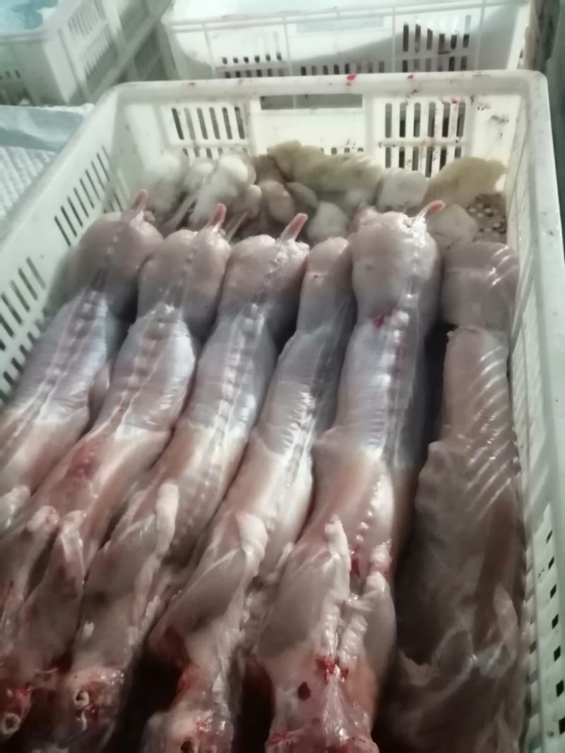 剥皮鲜货纯干无水，证照齐全