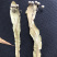 药材椴树花原装正品保质保量