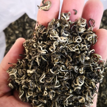 一级绿茶（十号青茶，一级烘青沁润香螺）