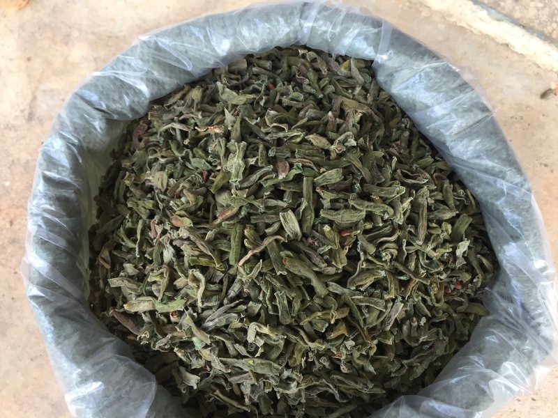 湖南卜豆角青豆角农家豆角干豆角批发