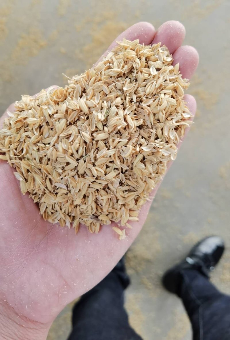 鱼台稻壳圆粒稻壳养殖稻壳
