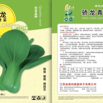 一代交配，骄子青梗菜种子。好种子，好收益。