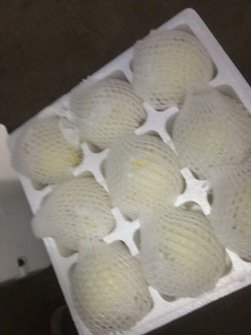 桃子，白桃，水蜜桃，新沂白凤白桃新沂水蜜桃