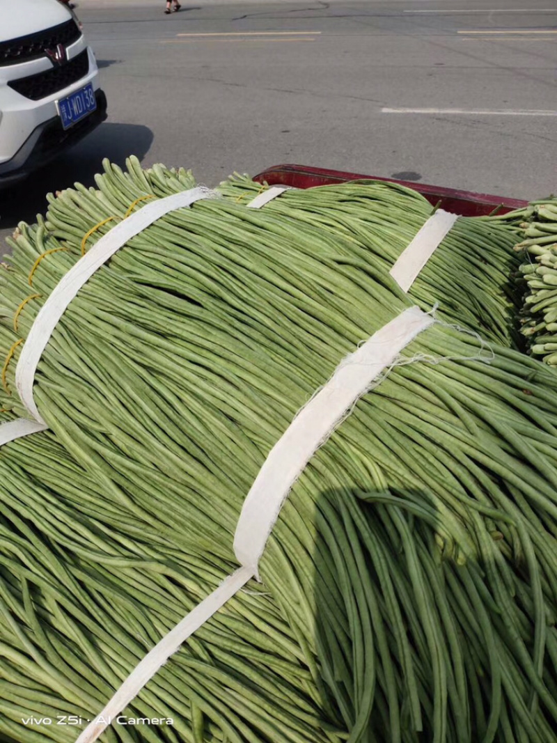 干豆角爆豆角盐豆角坛子豆角湖南卟豆角
