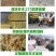 狮头鹅苗价格纯种狮头鹅低价出售高价回收送货到家