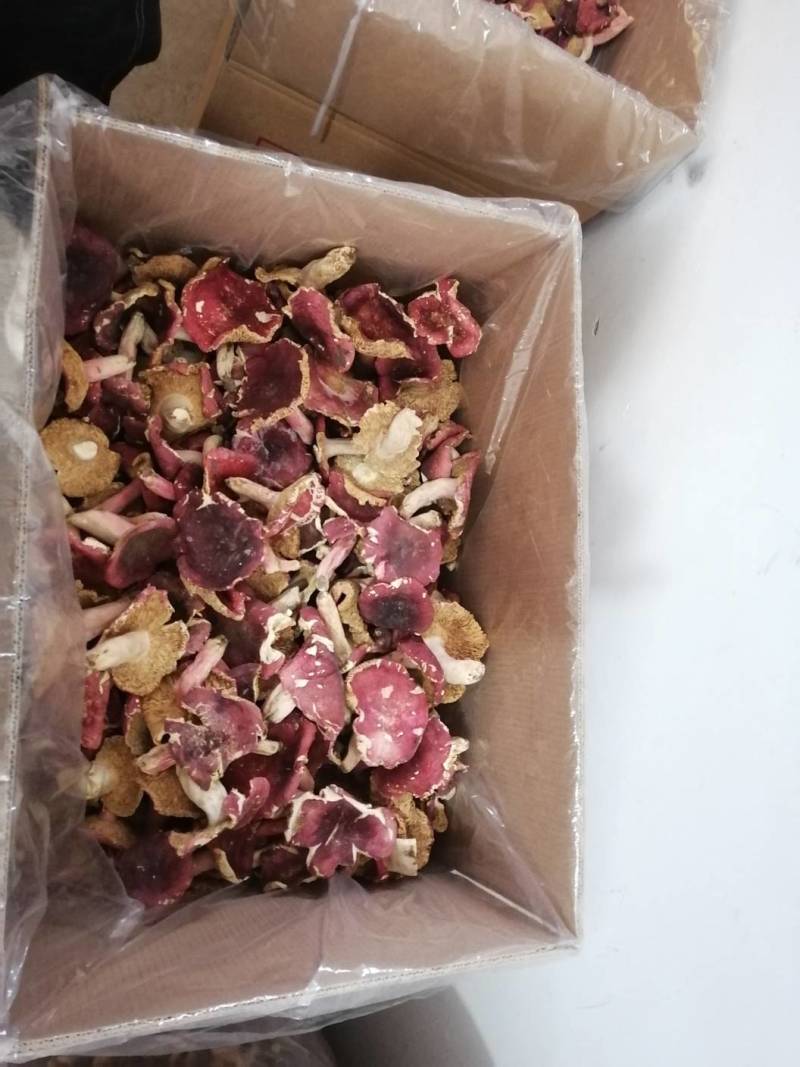 红菇干货500克实体店红蘑菇烤干的菇质量好批发价