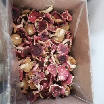 红菇干货500克实体店红蘑菇烤干的菇质量好批发价