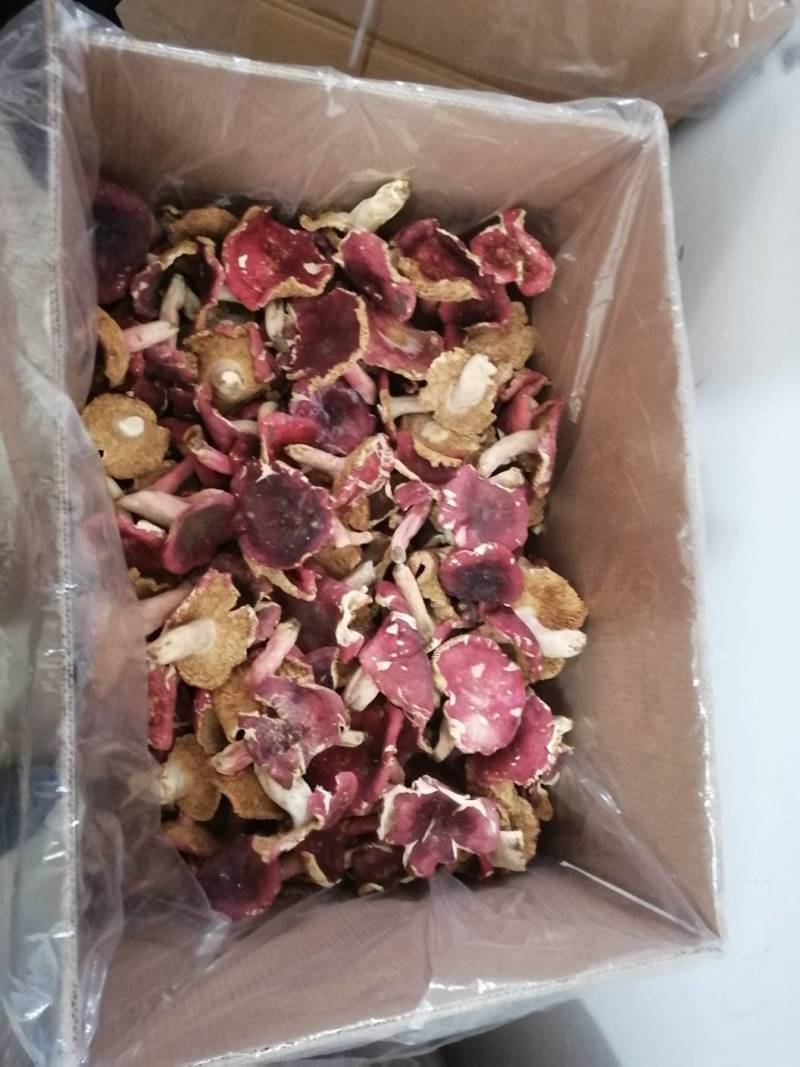 红菇干货500克实体店红蘑菇烤干的菇质量好批发价