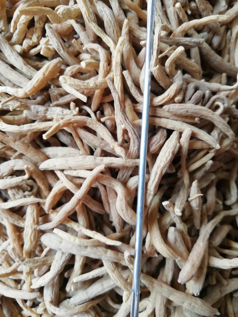 包邮批发太子参天然正品太子参中药材太子参娃娃参