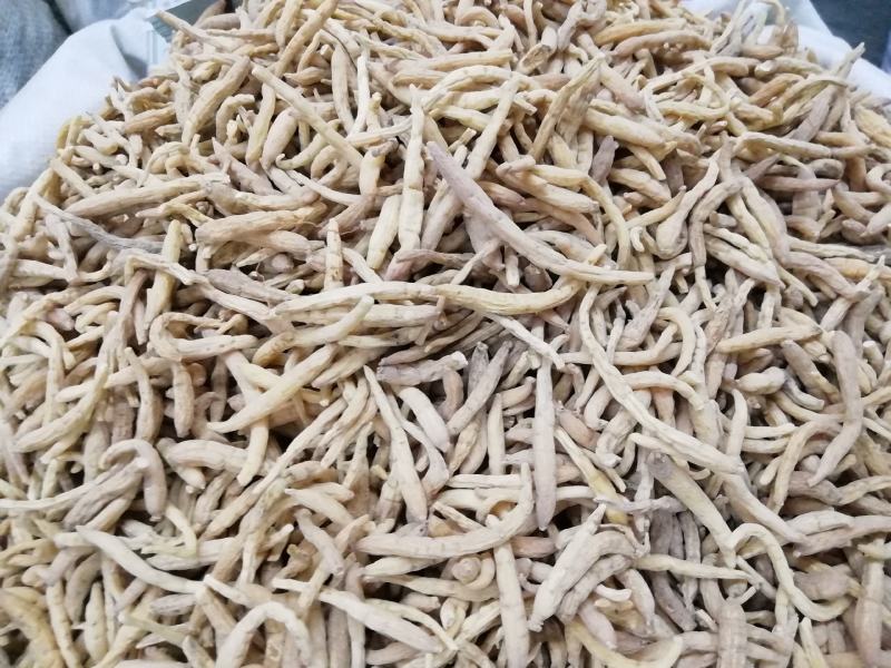 包邮批发太子参天然正品太子参中药材太子参娃娃参