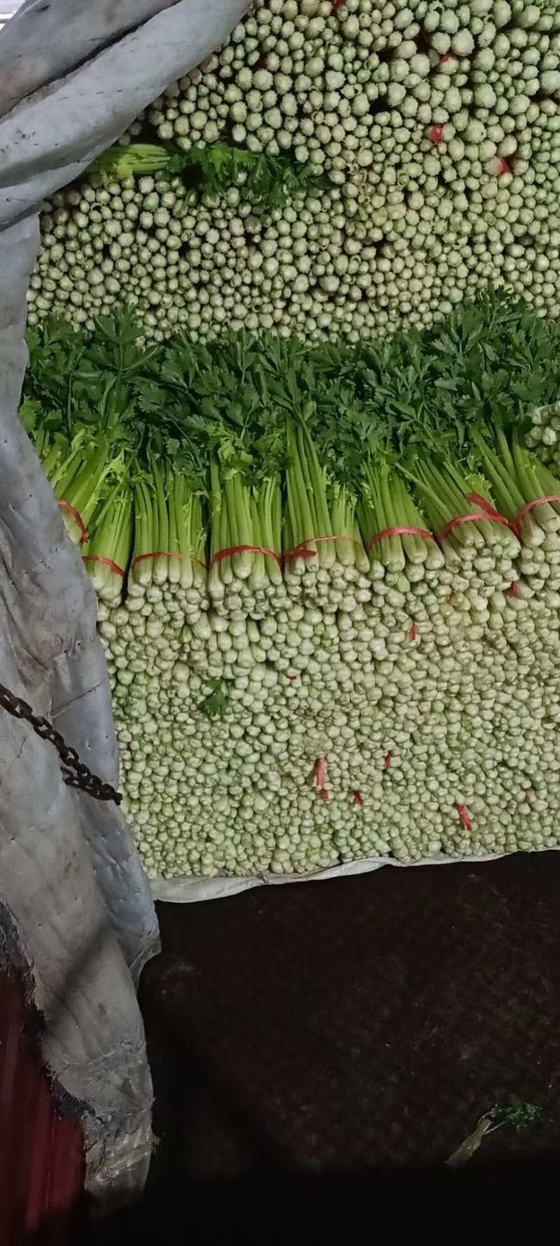精品毛芹，喜欢的联系