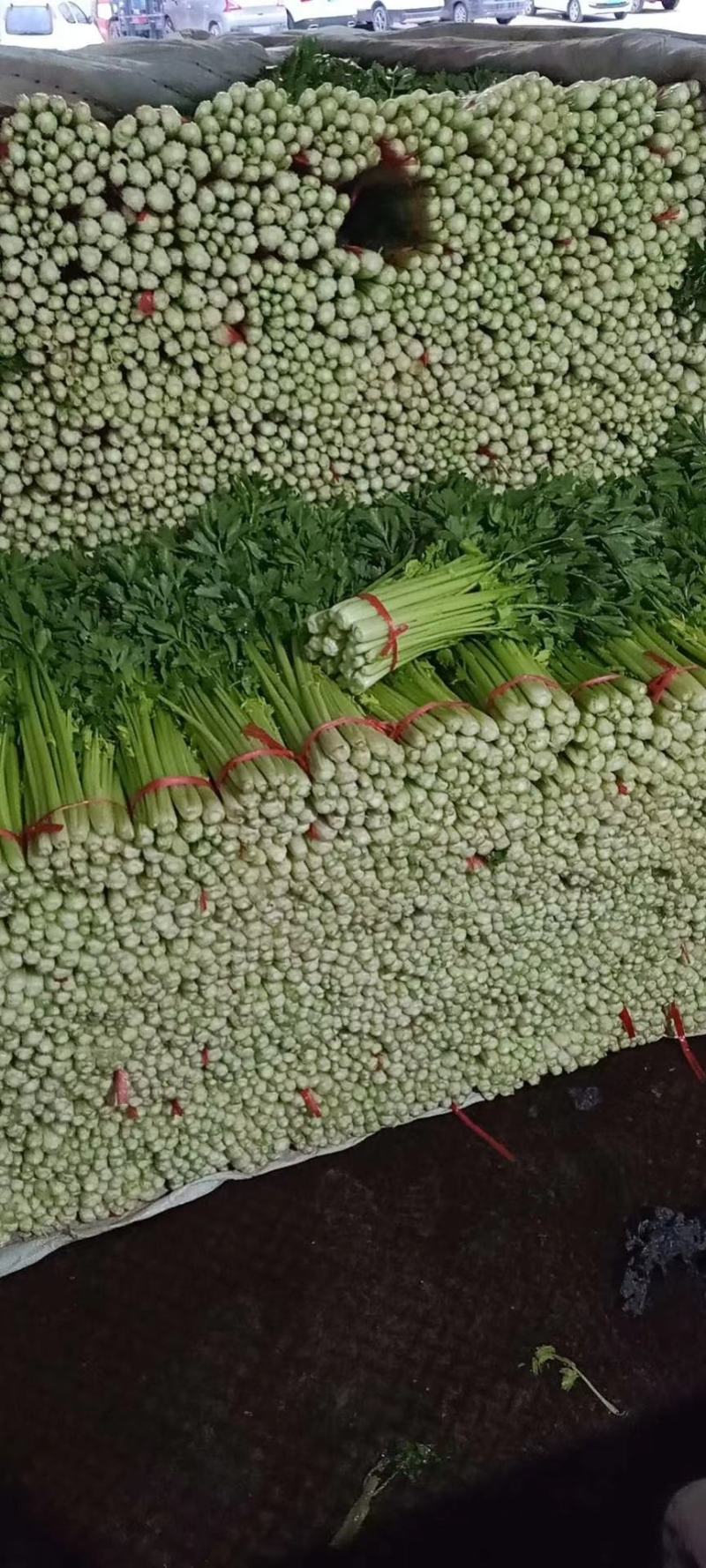精品毛芹，喜欢的联系