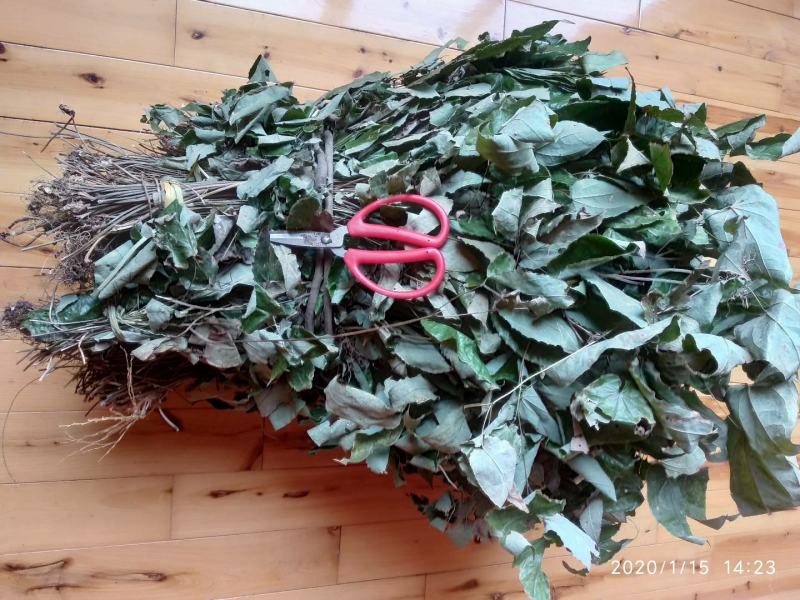 贵州铜仁野生中药材淫羊藿茎叶干货羊角叶产地直发仙灵脾干品