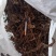 石菖蒲足干石菖蒲统条，长期产地直销，欢迎订购