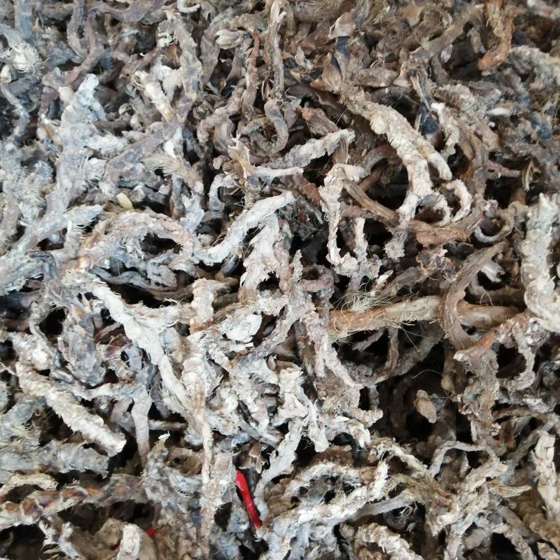 石菖蒲足干石菖蒲统条，长期产地直销，欢迎订购