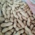《大果鲜花生》祥符花生精品质量一手货源量大从优
