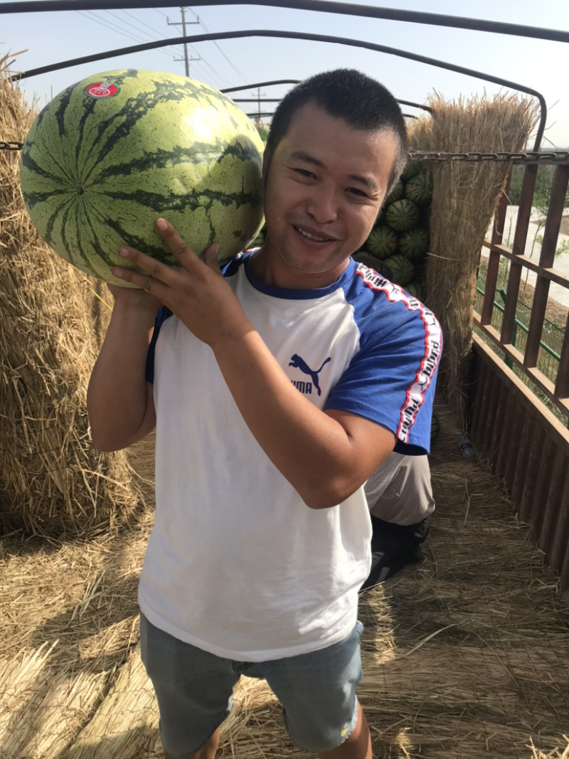 宁夏中卫正宗香山硒砂瓜货源充足代收代发全国一条龙服务，