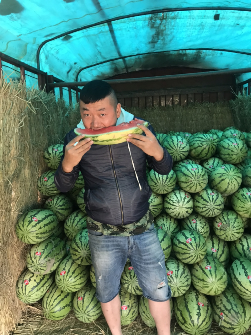 宁夏中卫正宗香山硒砂瓜货源充足代收代发全国一条龙服务，