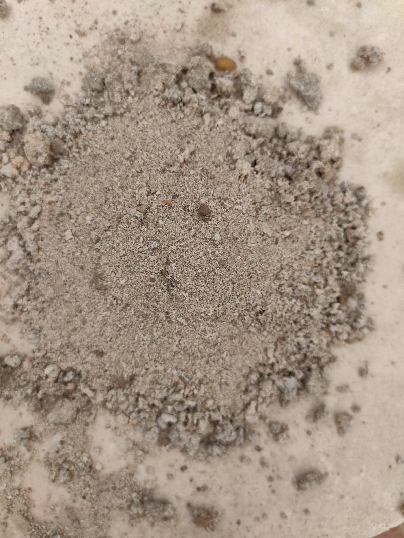 产地直发红薯渣地瓜渣植物性饲料家禽水产黄粉虫专用送货上门