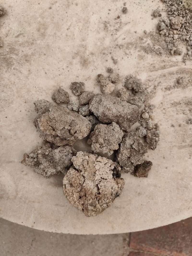 产地直发红薯渣地瓜渣植物性饲料家禽水产黄粉虫专用送货上门