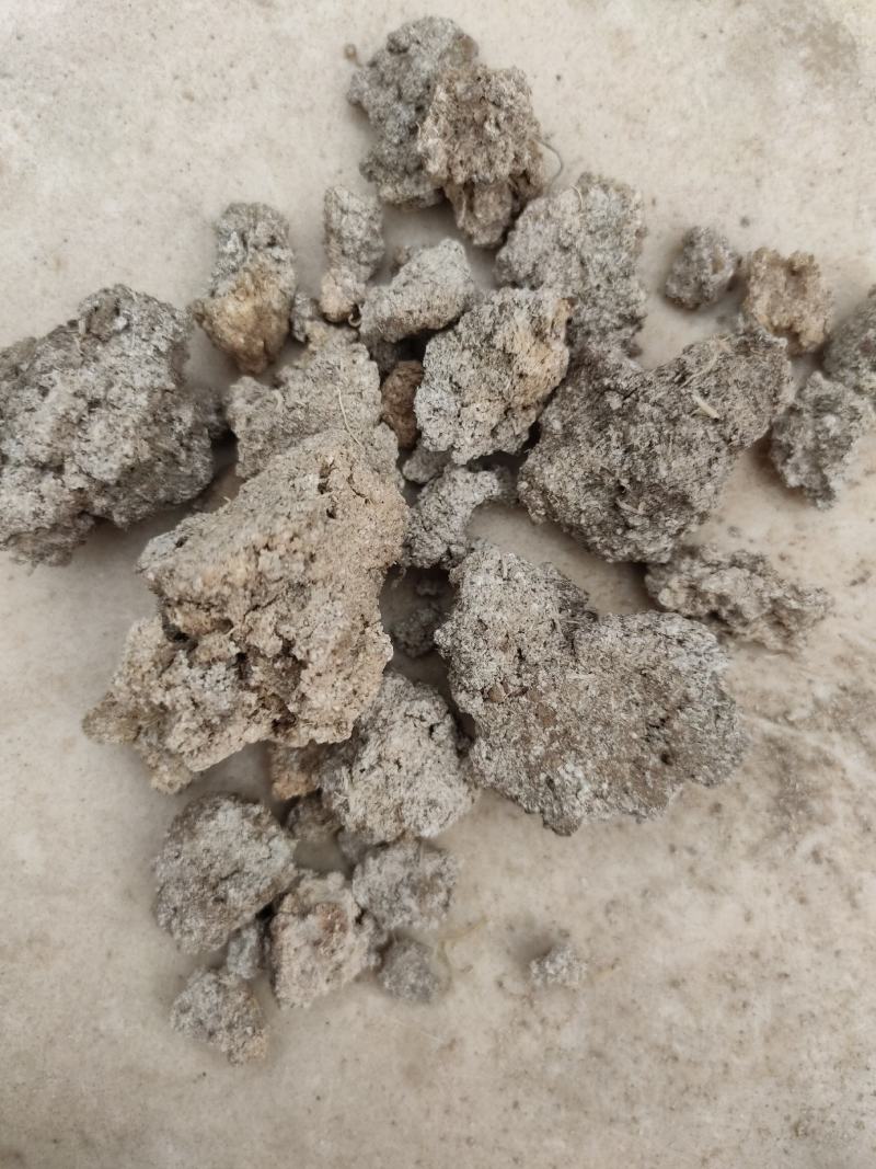 产地直发红薯渣地瓜渣植物性饲料家禽水产黄粉虫专用送货上门